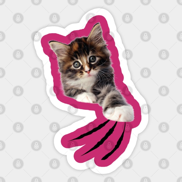 scratch   CAT STICKR Sticker by kamedprint